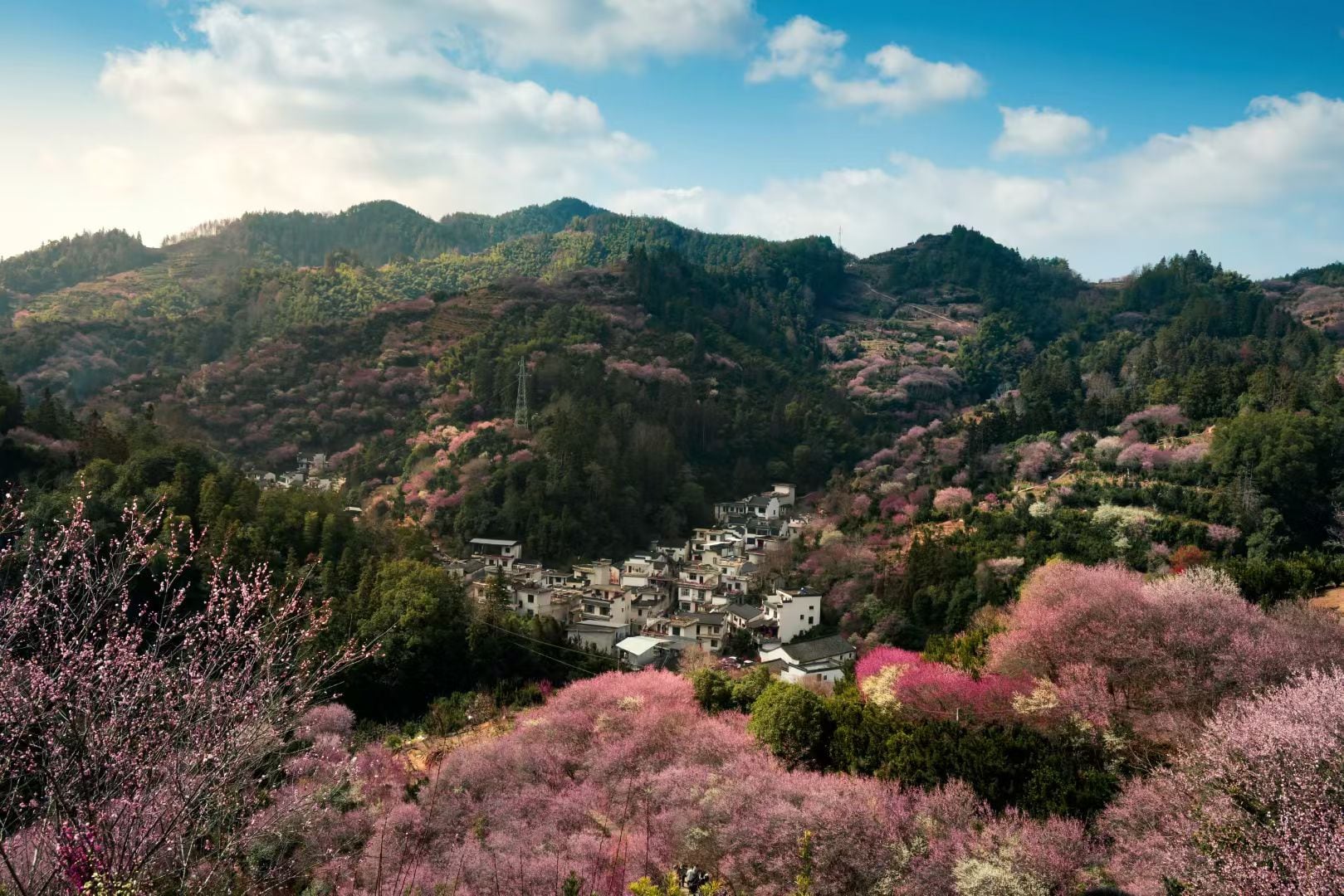 春日山野与村落